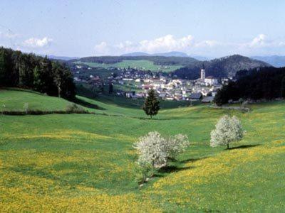Garni Waldfrieden Hotel Castelrotto Exterior photo